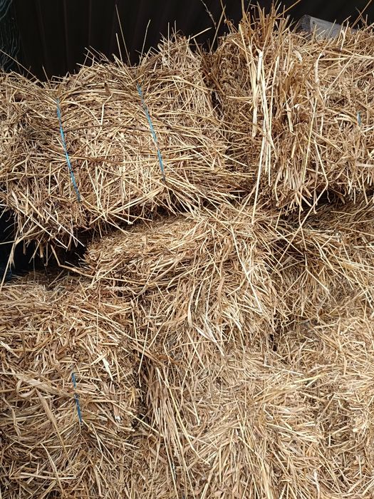 Fardos de Palha Nova para Alimentação de Animais - 1,10m