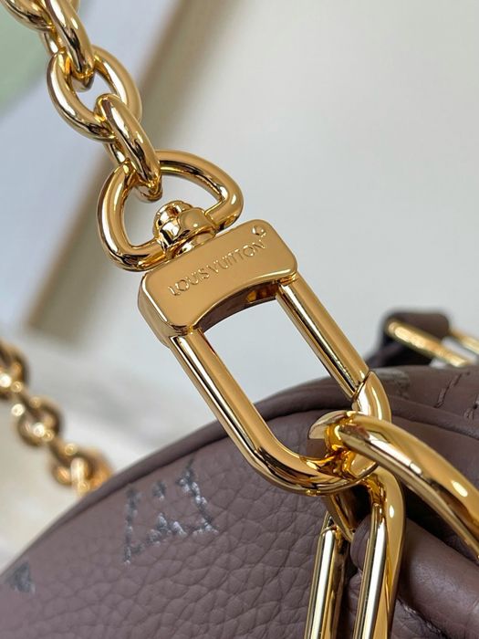 Сумка Louis Vuitton Speedy — лімітована модель