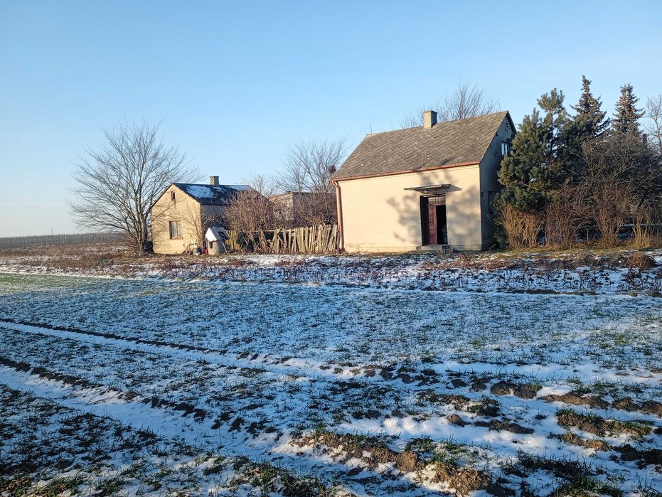 Dom wolnostojący na dużej działce Przybranowo