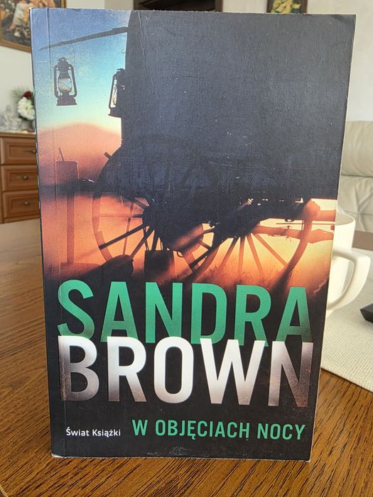 Sandra Brown W objęciach nocy