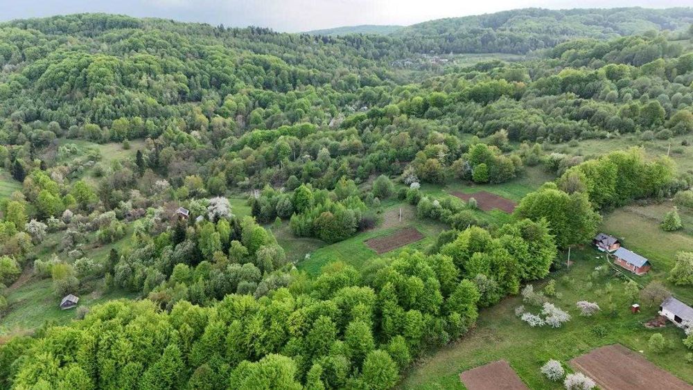 ТЕРМІНОВО/ Земля / Орів / Дрогобицький / Львівська область