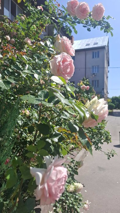 Екс! Продам 3к двоповерхову квартиру 120м2, 3й та 4й поверхи! Новобудова!