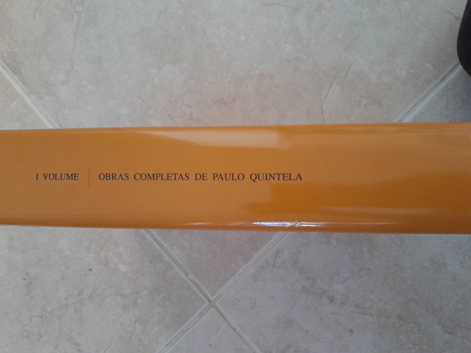 Holderlin e outros estudos de Paulo Quintela