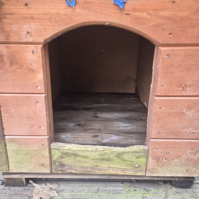 Buda dla psa 50x72x80
