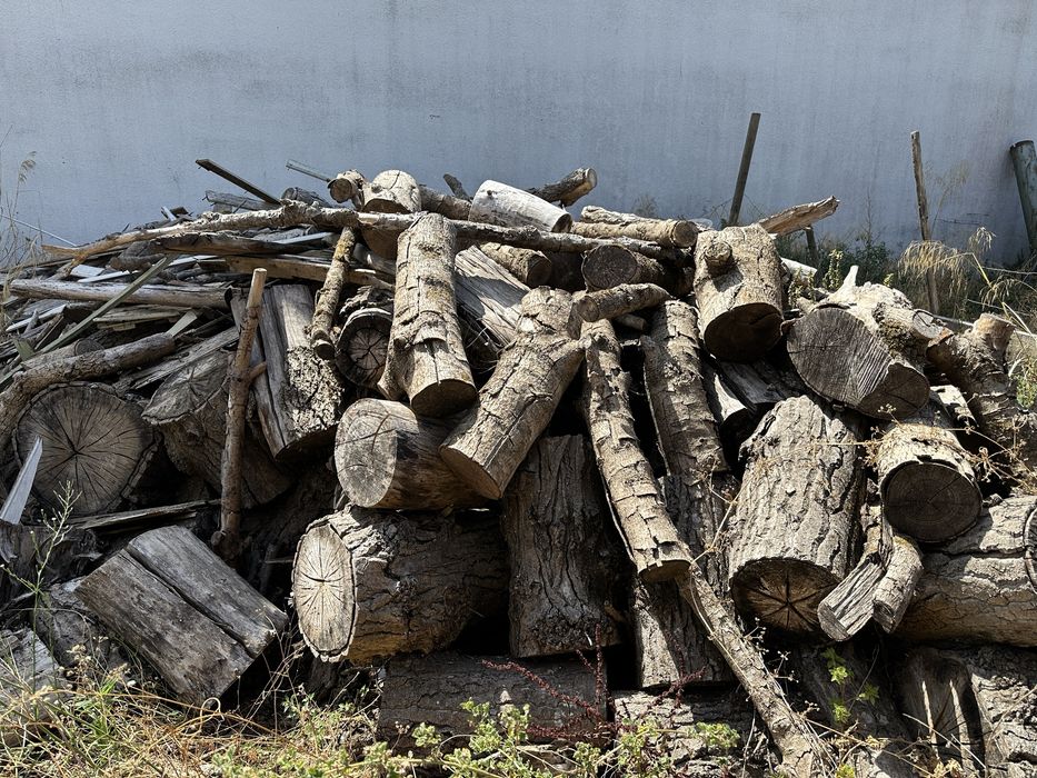 Da-se lenha. Gratuita.