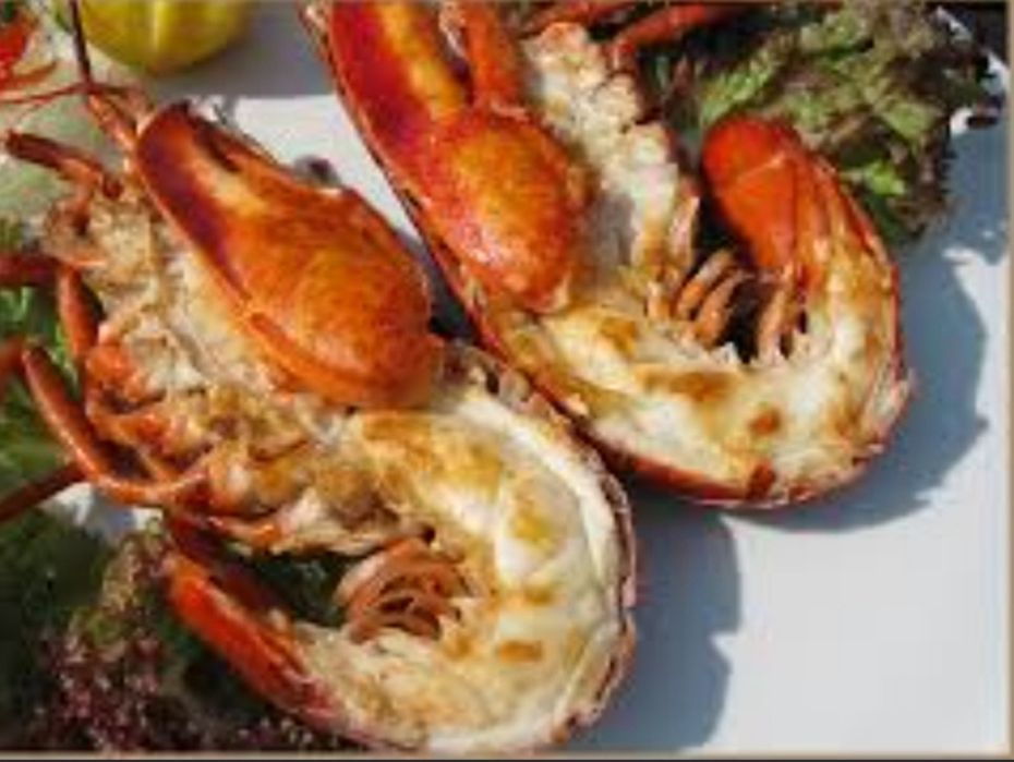 Продам  лобстеров.