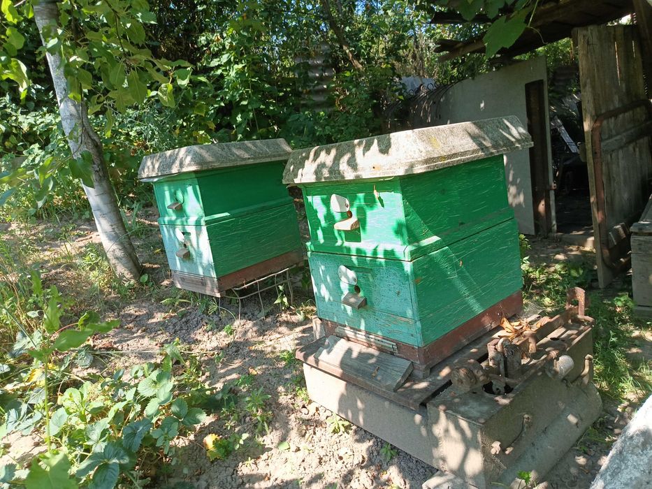 Пчело инвентарь, весы, ульи, медогонка