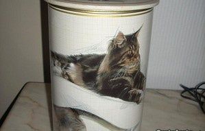 Lata Royal Canin - Gatos - Limited Edition - ÚLTIMOS DIAS+ Livro