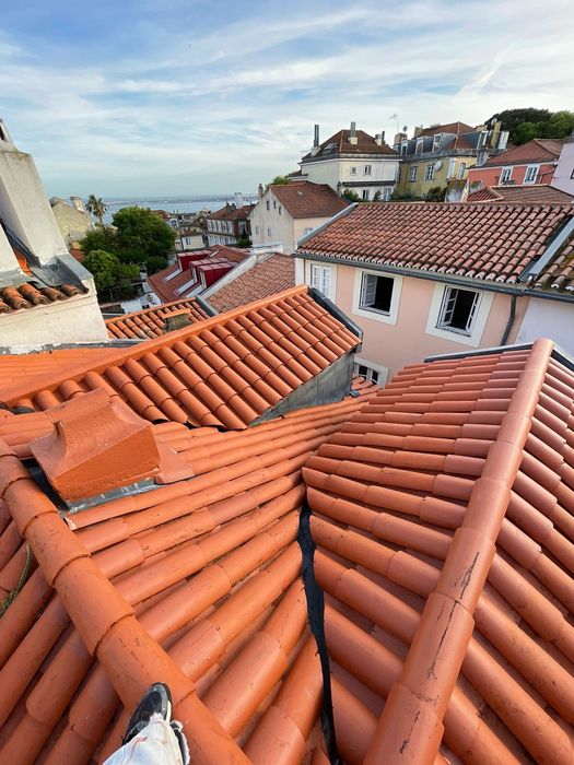 Limpeza e Restauração de Telhados