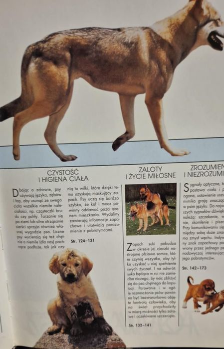 Książka  album Pies moj przyjaciel