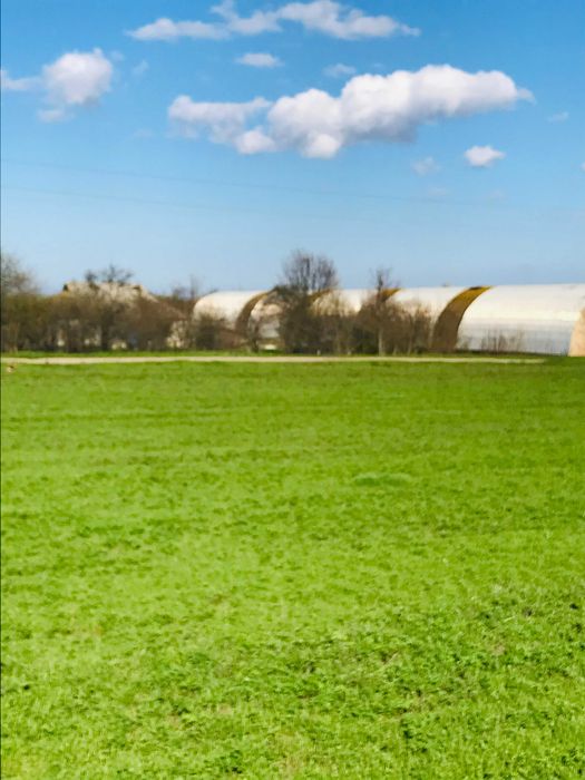 Здам в оренду або продам майстерню