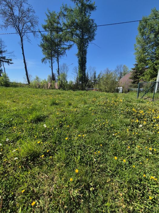 Działka 3000m2 - do wynajęcia