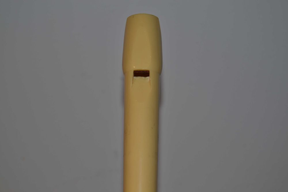 Flauta de Bisel (Nova)