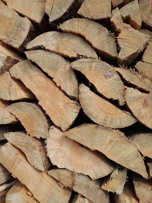 Продам дрова соснові