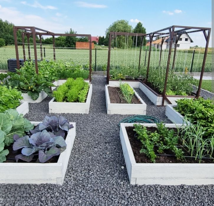 Warzywniak  z desek betonowych