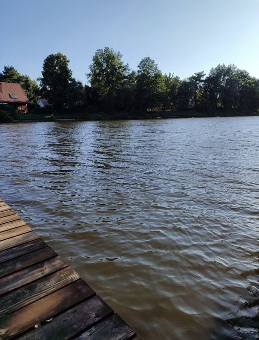 Działka leśno-rolna nad starorzeczem Narwi