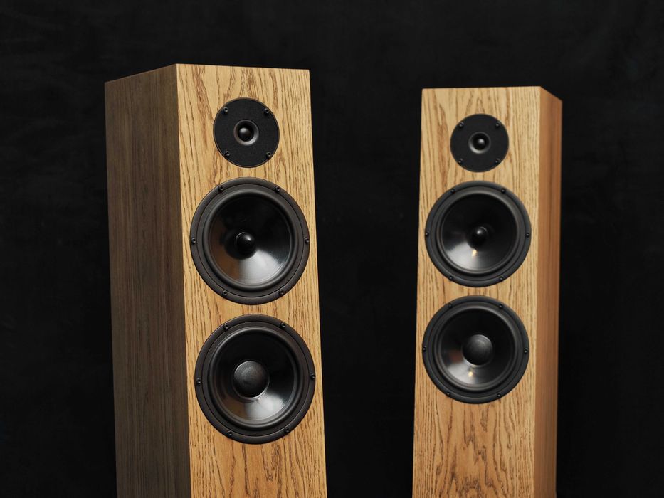 Pylon Audio Diamond 28 MKII kolumny podłogowe fornir dębowy nowe