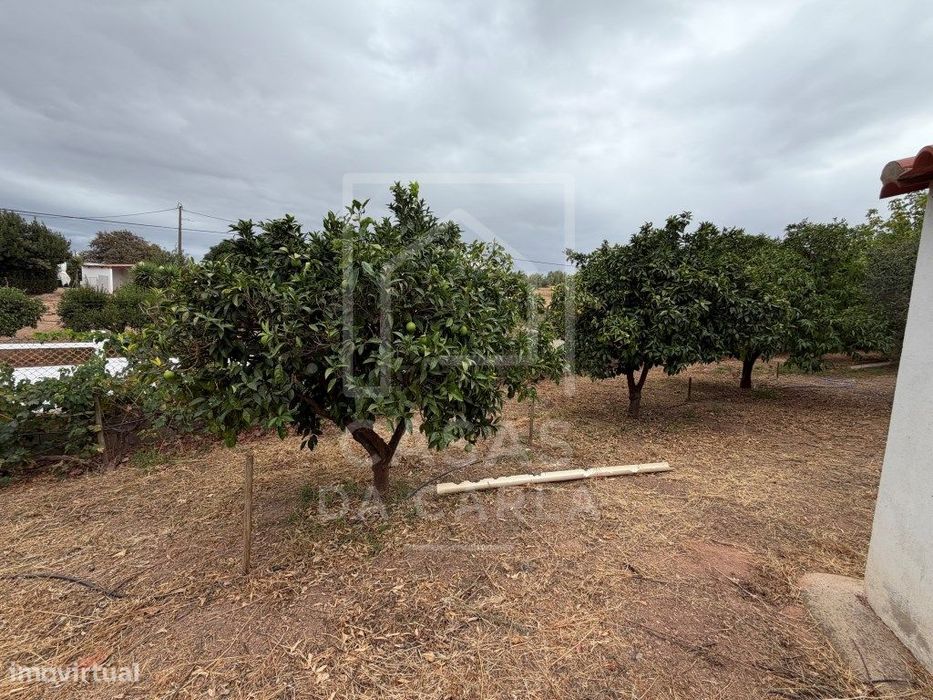 Propriedade T3 com Anexo T1+1 completamente renovada e jardim com 1...