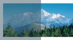 Markiza Pionowa, roleta zewnętrzna, obniża temperaturę o 10stopni