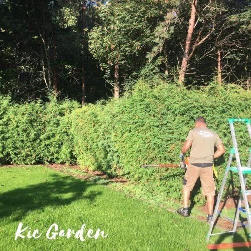 Pielegnacja zieleni i ogrodnictwo