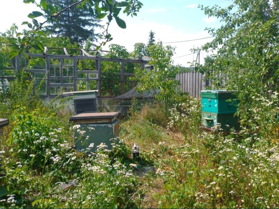 Срочно Продам дом в Солоницевском Отг (п.Ольшаны)ЦЕНА СНИЖЕНА
