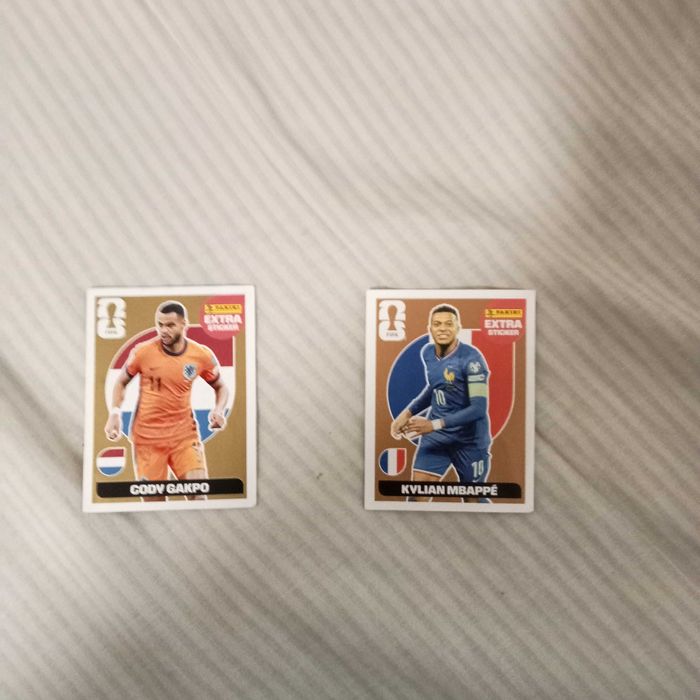 Extra panini ( gakpo gold + mbappé bronze)
