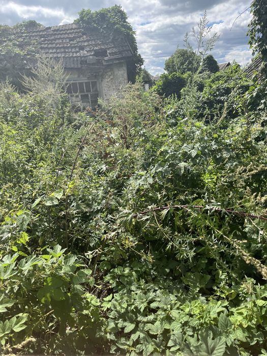 Продаж будинку Котельва