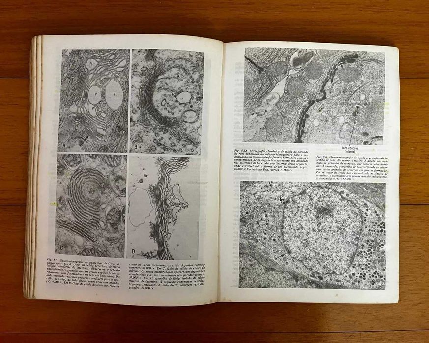 "Biologia Celular e Molecular" de Junqueira Carneiro