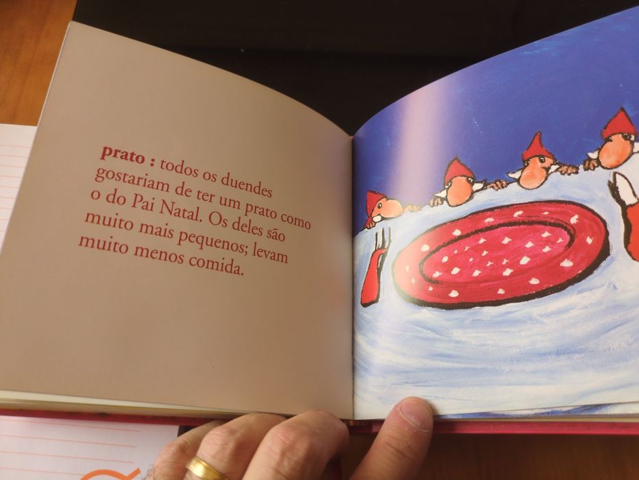 Dicionário do Pai Natal de Grégoire Solotareff