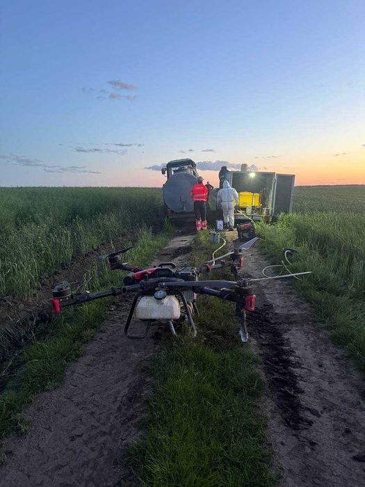 Обприскування ріпаку агродроном — інсектициди, фунгіциди
