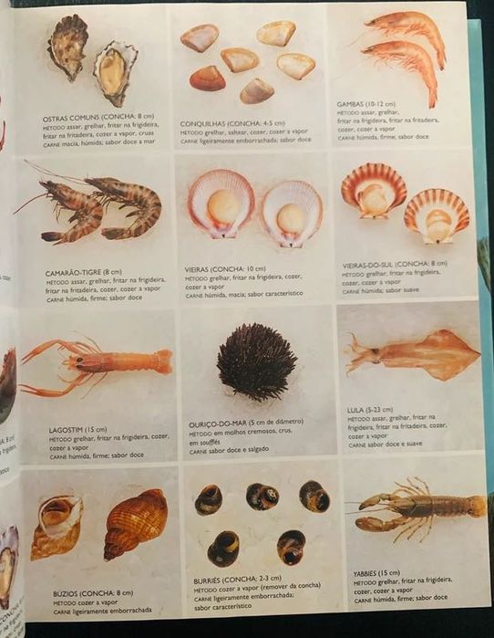 O livro essencial do peixe e marisco