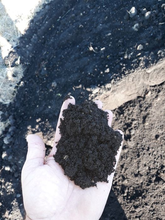 ziemia ogrodowa ,czarnoziem  pod trawnik