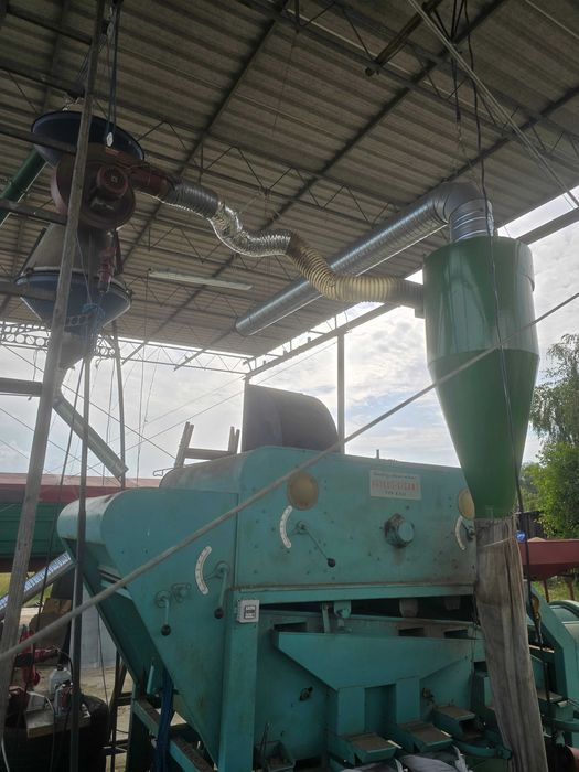 wyczyszczone i zaprawione zboże ziarno nasiona