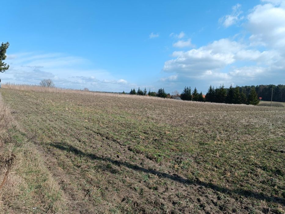 Działka Mazury, Węgorzewo z widokiem na jezioro, las Przerwanki