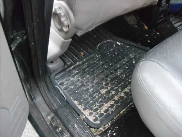 Land Rover Freelander tapete mala e  dianteiros