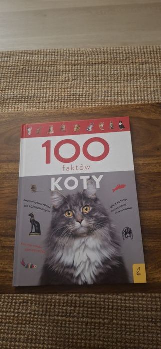 100 faktów KOTY.  Książka o kotach.