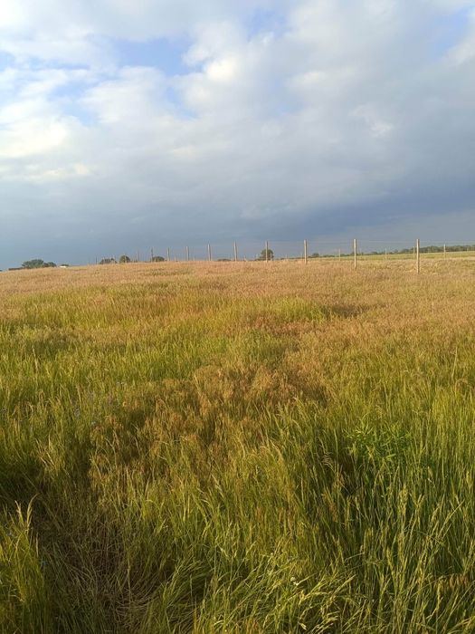 Działka 1650 m² z projektem na budowę domu dwulokalowego i - Widok 3