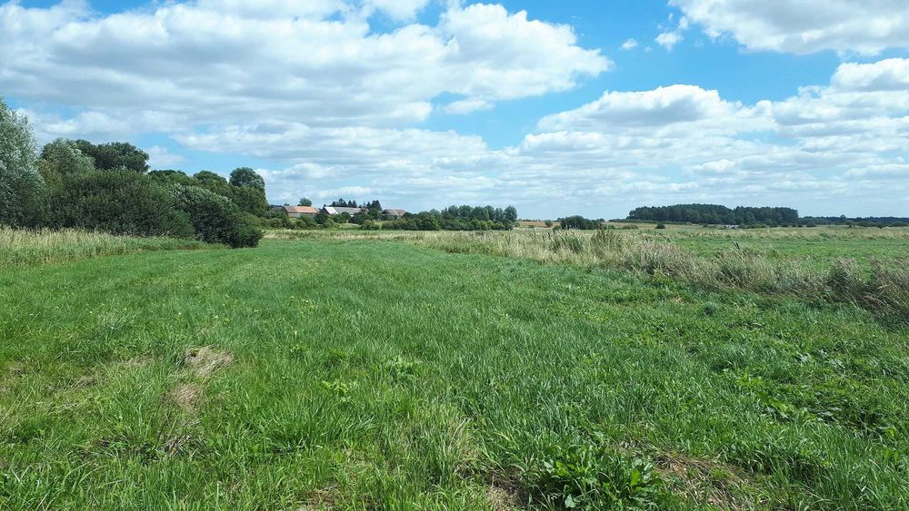 OKAZJA 2,3złotego m2, 19600m2 Słodkówko 1.96 ha.-Pilna Sprzedaż OKAZJA