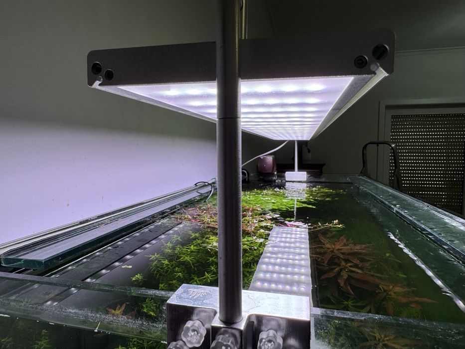 Vendo aquário plantado completo 120 X 50 X50 com filtro JBL 1502 sistema CO2 luminária week Aqua e móvel