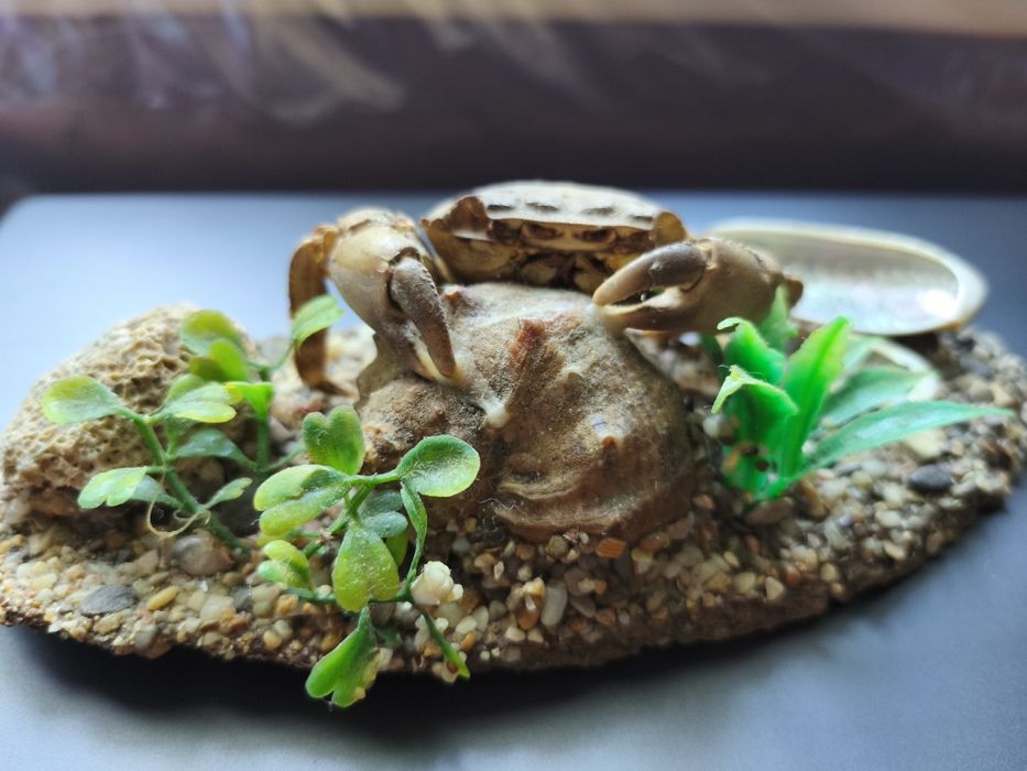 Статуетки, оздоба для акваріума