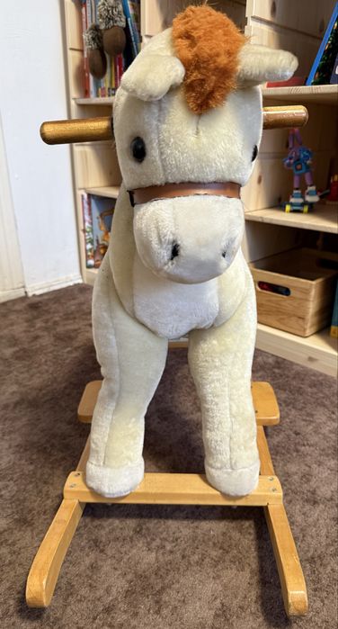 Konik na biegunach