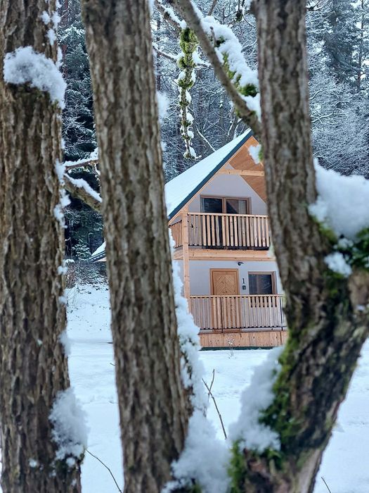 Domki w Bieszczadach - Ferie zimowe