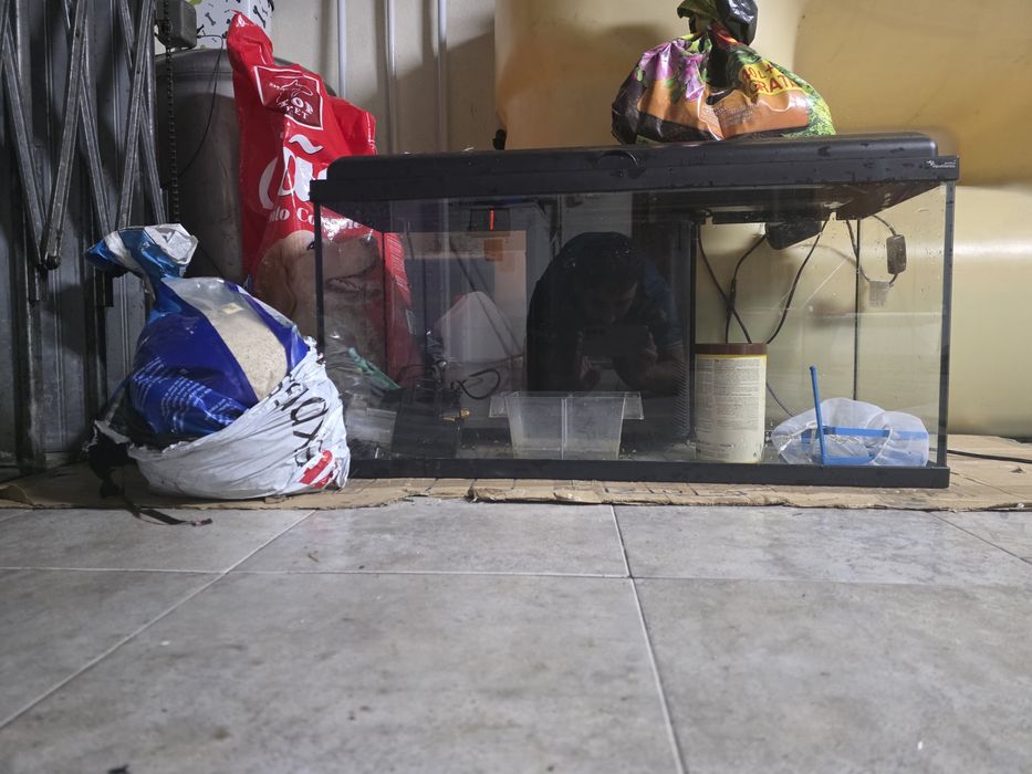 Aquário com Biobox 2