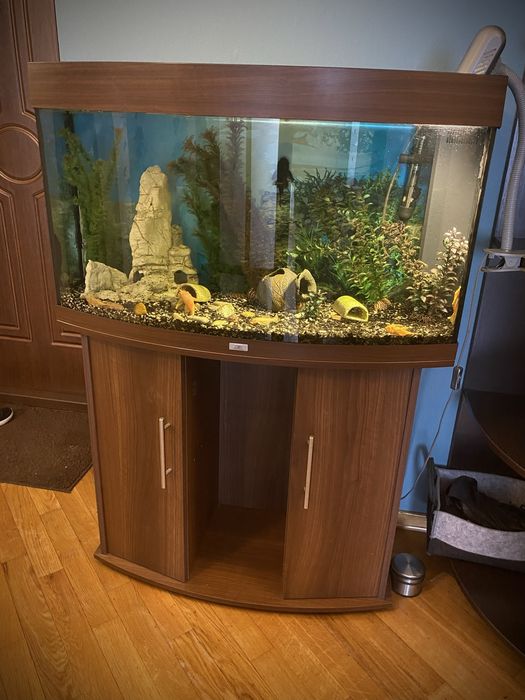Акваріум juwel, 180л