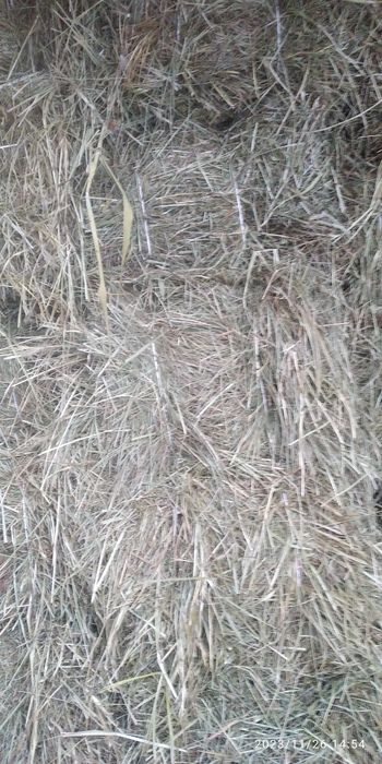 Продам сіно в тюках