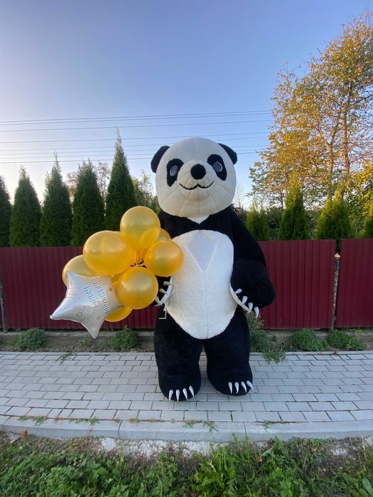 Сонік,Білий Ведмідь Аніматор,Гонщик,Скай,Щенячий патруль,Солодка вата