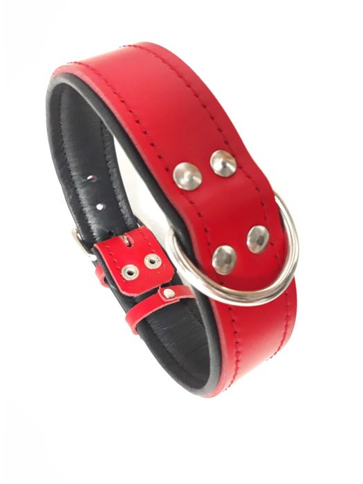 Obroża skórzana podwójna SKÓRA 4cm/65cm