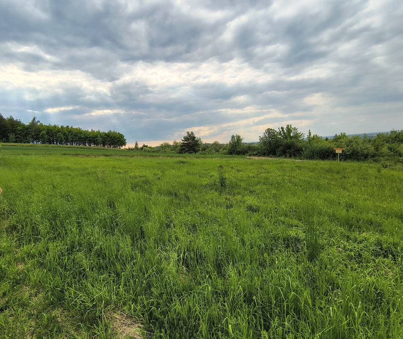 Sprzedam działkę widokową – Pruchnik, 8 arów, warunki zabudowy - Widok 3