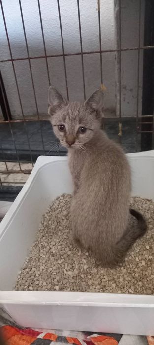 Bebés aos molhinhos