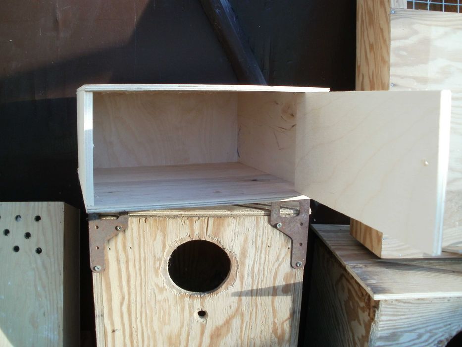 Budki lęgowe dla papug